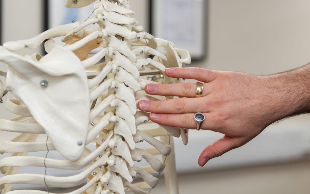 Can Chiropractic Treatment Help After a Car Accident Injury?